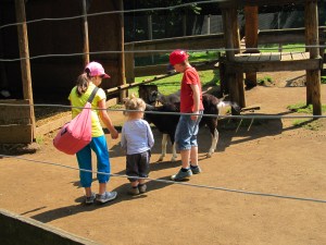 140603_Vogelpark Schotten (1)