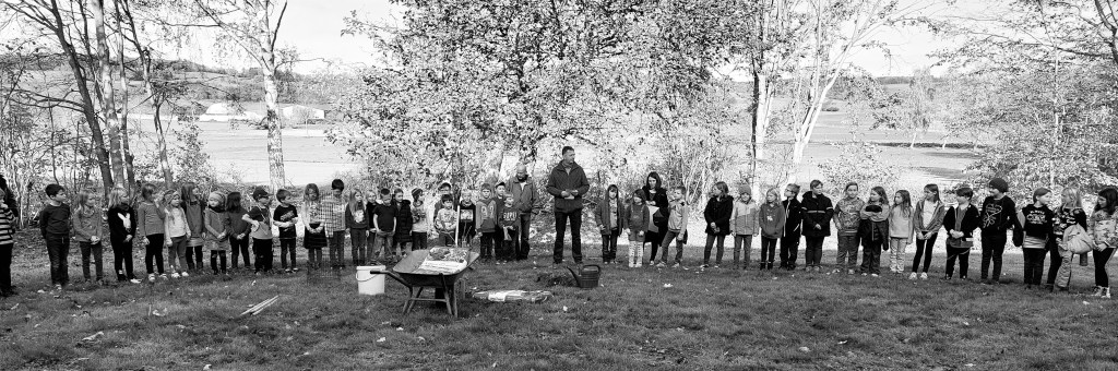 Der Baum der&nbsp;Erinnerung