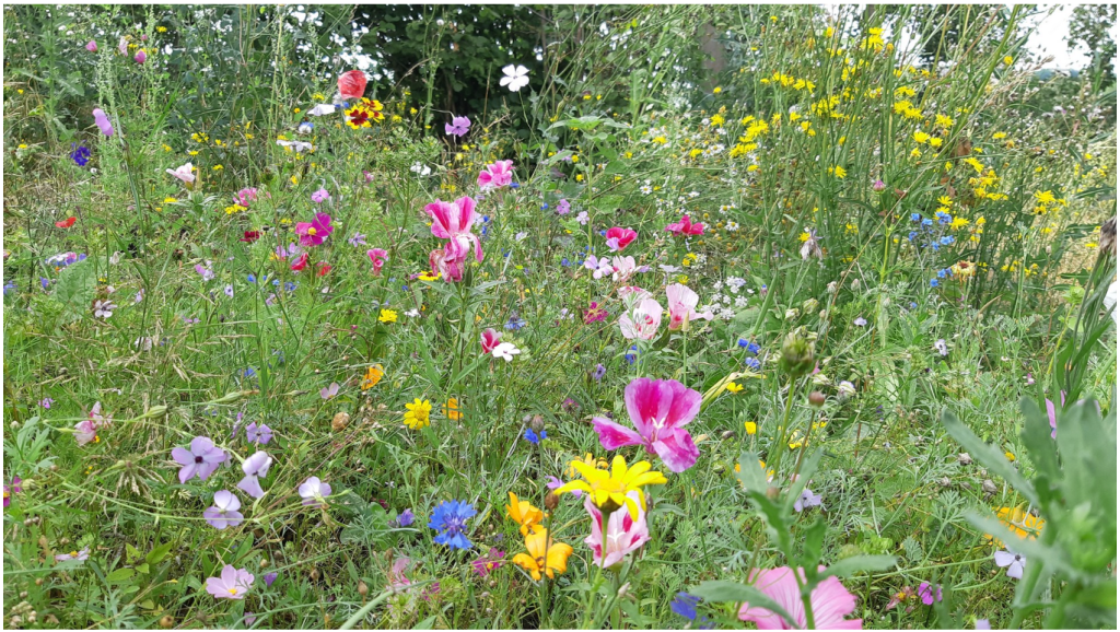 Förderverein: Projekt „Nachhaltigkeit hautnah“ auf&nbsp;HR4