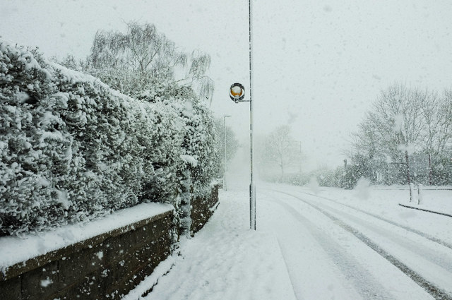 Wichtig: Aufhebung der Präsenzpflicht am 18. Januar 2024