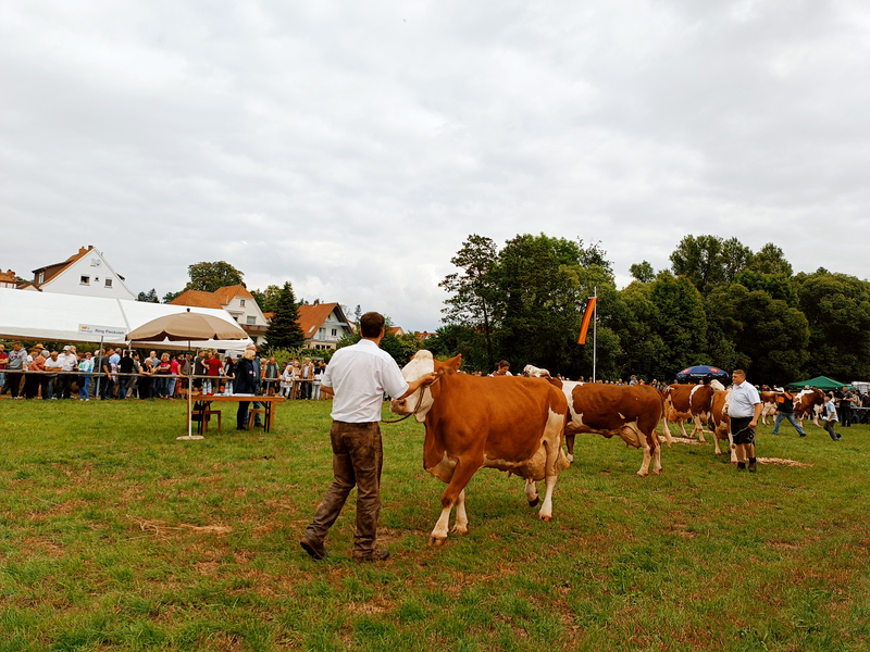 252. Lauterbacher Prämienmarkt