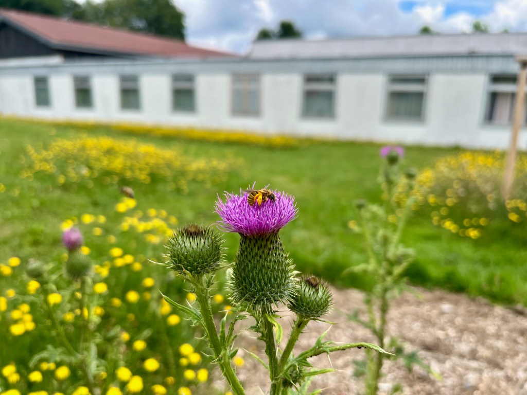 Die Gudrun-Pausewang-Schule verabschiedet sich in die Sommerferien