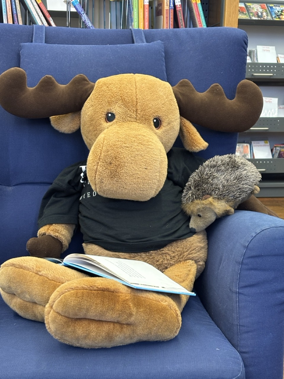 Ausflug in die Stadtbücherei Lauterbach