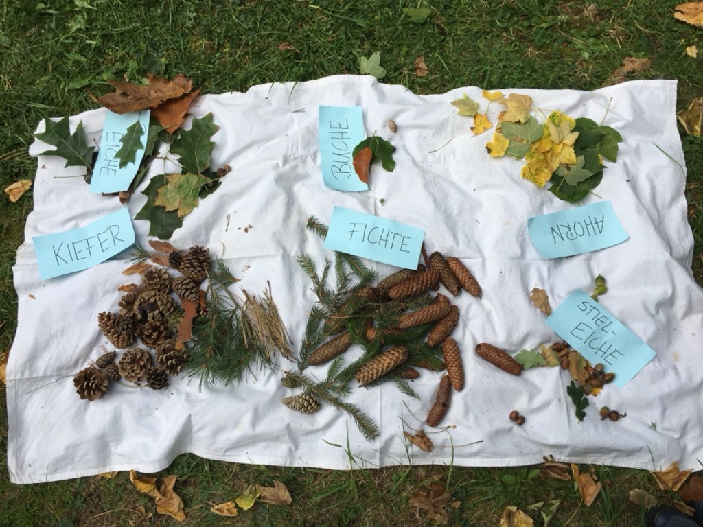 Welches „Eichhörnchen“ findet seine Nüsse wieder?