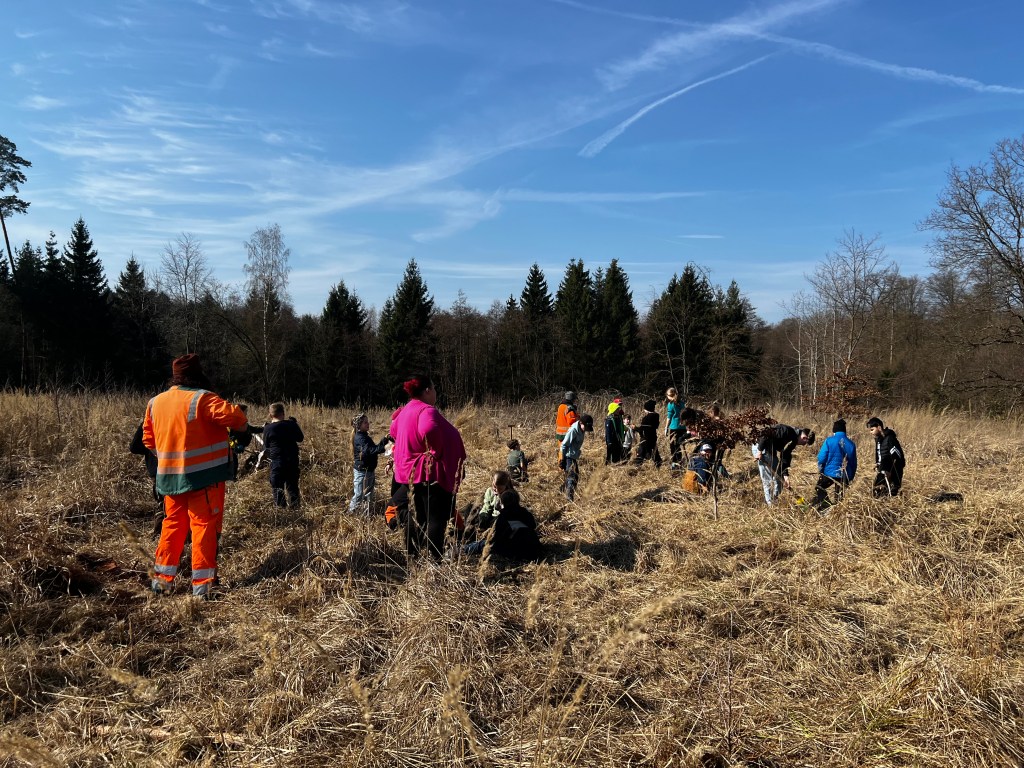 Nachhaltige Aufforstung: Klassen 4a und 4b in Aktion
