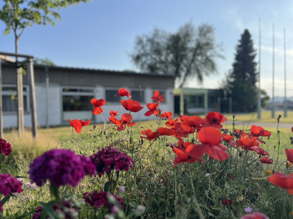 Schöne Sommerferien!